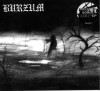 Picture for song 'Black Spell Of Destruction (Burzum Cover)' by artist 'Paul Carcass'