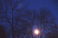 Picture for song 'Kveldens Vintermåne' by artist 'Paul Carcass'