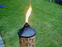 Picture for song 'I Wish For You' by artist 'Paul Edney'