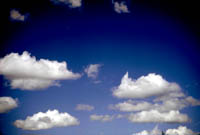 Picture for song 'Head in the Clouds' by artist 'Paul Farnham'
