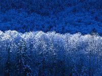 Picture for song 'My Way' by artist 'Paul McKenna'