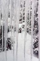 Picture for song 'as the world freezes around your heart' by artist 'Paul Pichon'