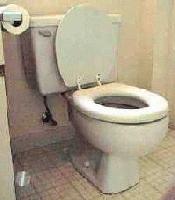 Picture for song 'Brand New Septic System' by artist 'Paul Tedeschi'