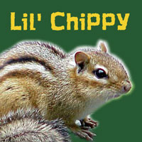 Picture for song 'Lil' Chippy' by artist 'Paul Tedeschi'