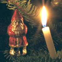 Picture for song 'She Stole My Summer' by artist 'Paul Tedeschi'