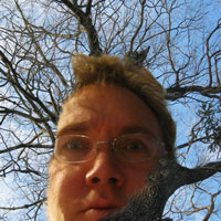 Picture for song 'Stripped Down (And Searching)' by artist 'Paul Tedeschi'