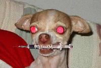 Picture for song 'slopy funk' by artist 'Pauly Walnutz'