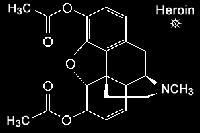 Picture for song 'RAW' by artist 'payTYT'