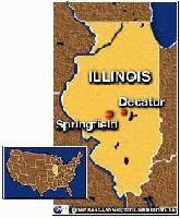 Picture for song 'Pimpin'' by artist 'P DAWG'