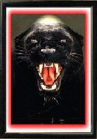 Picture for song 'Hit The Base' by artist 'Peeps'