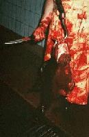 Picture for song 'America's Fighting Men Need Meat' by artist 'Peggy Lee's Medicine Cabinet'