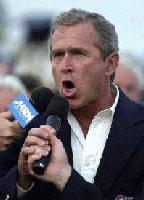 Picture for song 'Hollerin' by artist 'Peggy Lee's Medicine Cabinet'