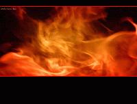 Picture for song 'j36 -Where my Horns at!?' by artist 'Penny Boi'