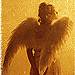 Picture for song 'Angel' by artist 'Pentultima'