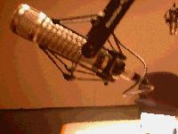 Picture for song 'Live On' by artist 'Perdition (MA)'