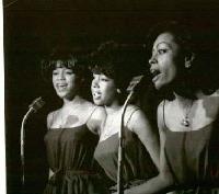 Picture for song 'Our_Culture' by artist 'Permone(KLB94)'