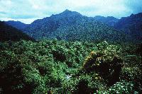 Picture for song 'Tropiques' by artist 'Permone(KLB94)'