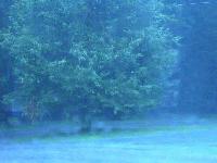 Picture for song 'Standin In the Rain' by artist 'Perry L. Nunley'