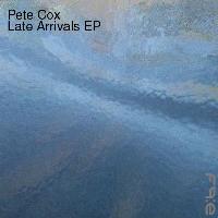 Picture for song 'Wanna Let You Know' by artist 'Pete Cox'