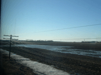 Picture for song 'Red, Black and Blue' by artist 'Peter Mandic'