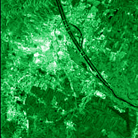 Picture for song 'PETNIC Big Dada on a Skit' by artist 'Petnic'