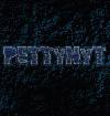 Picture for song '1' by artist 'Pettynyt'