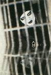 Picture for song 'djrock' by artist 'phatmuzik'