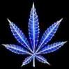 Picture for song 'The Yield - add king_liam87@hotmail.com !!!' by artist 'Phatstuff'