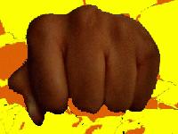 Picture for song 'Way of the Fist' by artist 'Phenotypes'