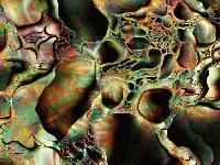 Picture for song 'phisherman - Alright' by artist 'phisherman'