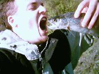 Picture for song 'phisherman - By the River' by artist 'phisherman'