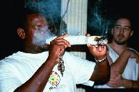 Picture for song 'phisherman - cheeched' by artist 'phisherman'