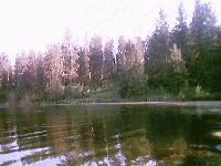 Picture for song 'phisherman - Think again' by artist 'phisherman'