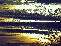 Picture for song '·· march 55th' by artist 'phrase'