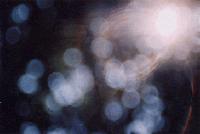 Picture for song '·· as we see shall none be (excerpt)' by artist 'phrase'