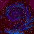 Picture for song 'Dark Matter' by artist 'Phrygia'