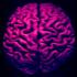 Picture for song 'Superior Frontal Gyrus' by artist 'Phrygia'