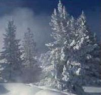 Picture for song 'Elevated Thought ft. Fluent - Cold Days' by artist 'Phynesse Entertainment'