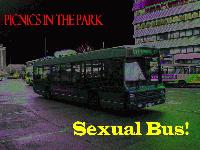 Picture for song 'Sexual Bus' by artist 'Picnics In The Park'