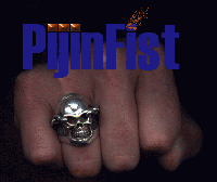 Picture for song 'Sign Of The Times' by artist 'PijinFist'