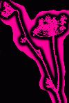 Picture for song 'Diamond Eyes' by artist 'Pimpinella'