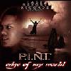 Picture for song 'Yall Ain't Heard Of Me' by artist 'PINT'