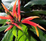 Picture for song 'Okayplayer Idris' by artist 'Pix (aka Maestro Picatta)'