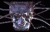 Picture for song '666n00by' by artist 'planet Beyond'