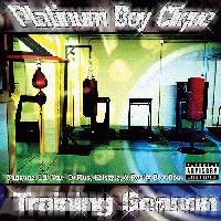 Picture for song 'P-Gutta track (Remix)' by artist 'Platinum Boyz'