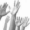 Picture for song 'HANDS UP ( XO ft. Sevy Wayne )' by artist 'Platinum Sound Industries'
