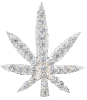 Picture for song 'i hear voices (remix)' by artist 'playaice'