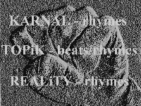 Picture for song 'PLP intro' by artist 'PLP'