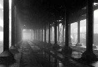 Picture for song 'P-Murda' by artist 'P Nettleton'