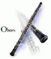 Picture for song 'Symphonic Overture' by artist 'Pngyh'